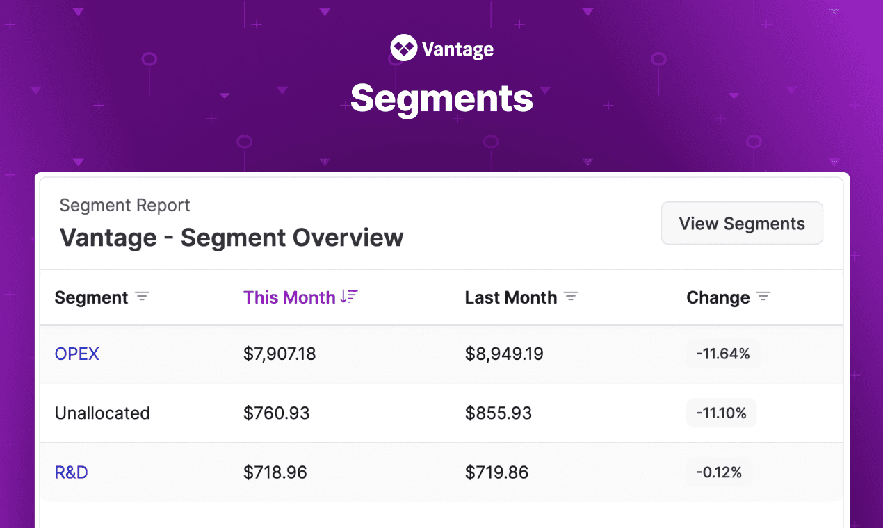 Vantage Launches Segments: Map Costs to Business Units
